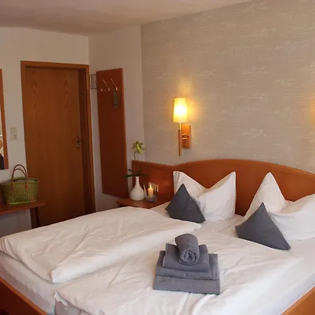 Ferien- Und Wellnesshotel Waldfrieden מלון היטזאקר