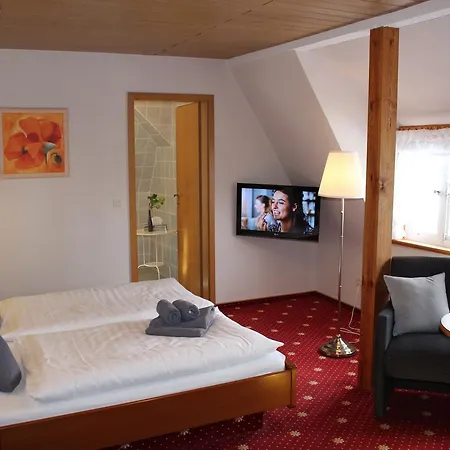 Ferien- Und Wellnesshotel Waldfrieden 3* هيتسآكر